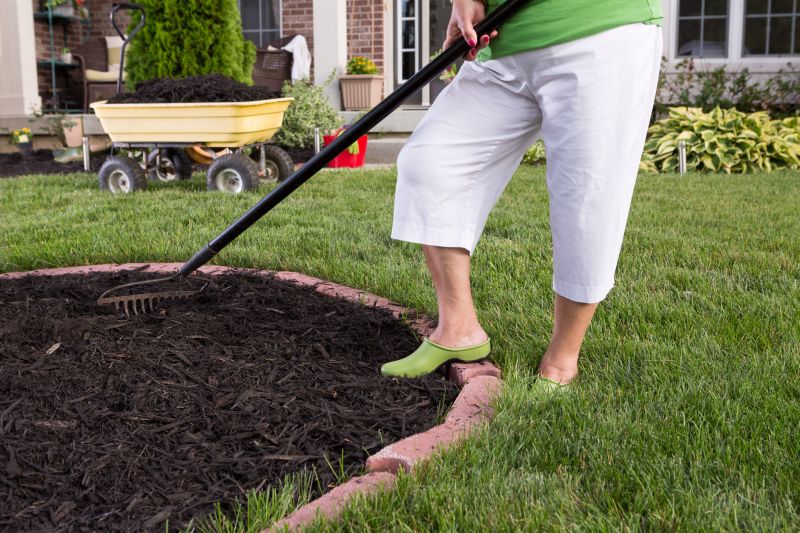 Improves Soil Fertility